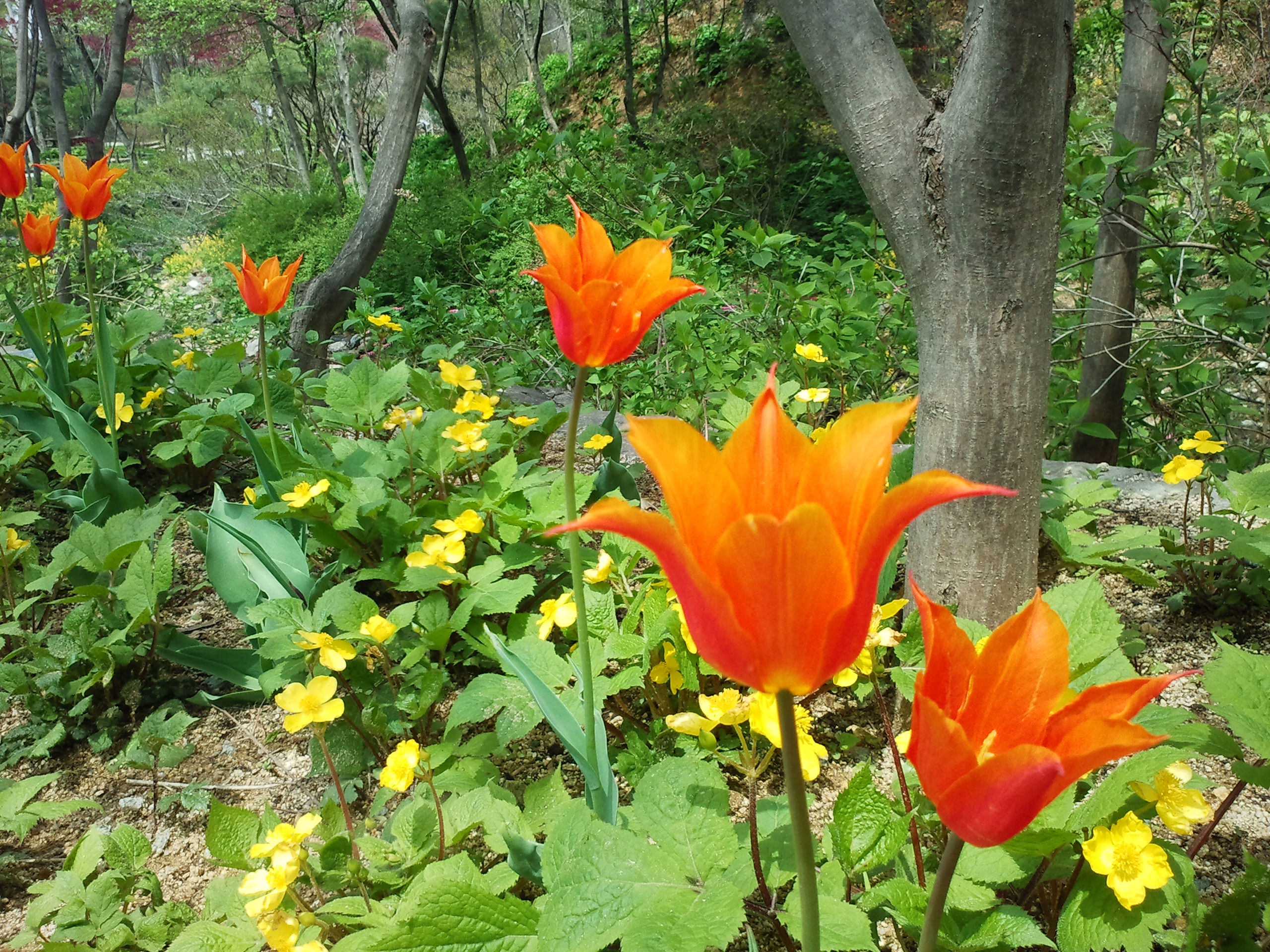 사진110503_024.jpg
